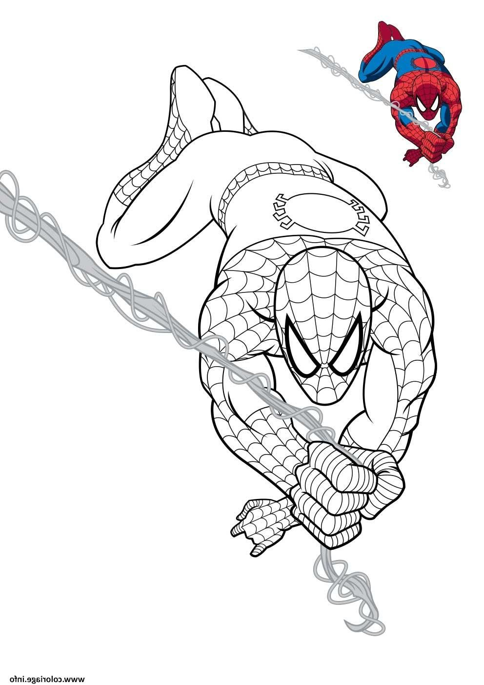 Épinglé Sur Coloriage Dessin destiné Spiderman Coloriage À Imprimer