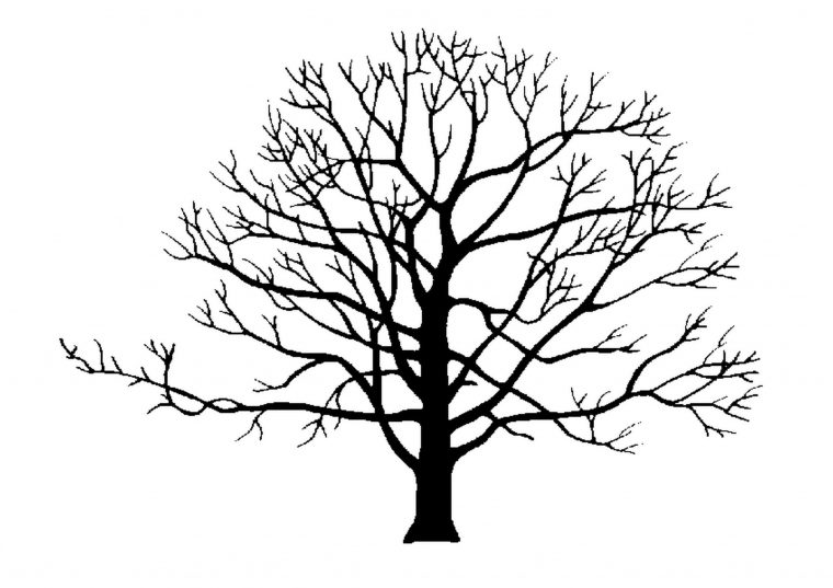 Épinglé Sur Graphisme encequiconcerne Arbre En Hiver Dessin