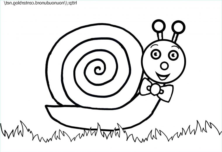 Escargot A Colorier Élégant Stock Coloriage Escargot destiné Image Escargot À Colorier