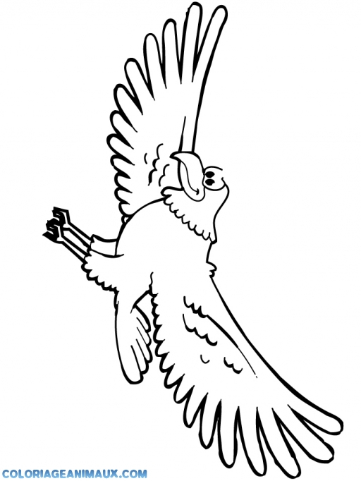 🎨Coloriage Oiseau Qui Vole À Imprimer à Dessin D Oiseau À Imprimer