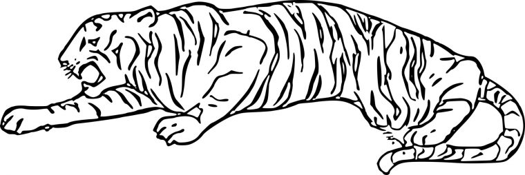 Facile Coloriage Tigre Ã Dents De Sabre 78 Dans Coloriage avec Dessin De Sabre