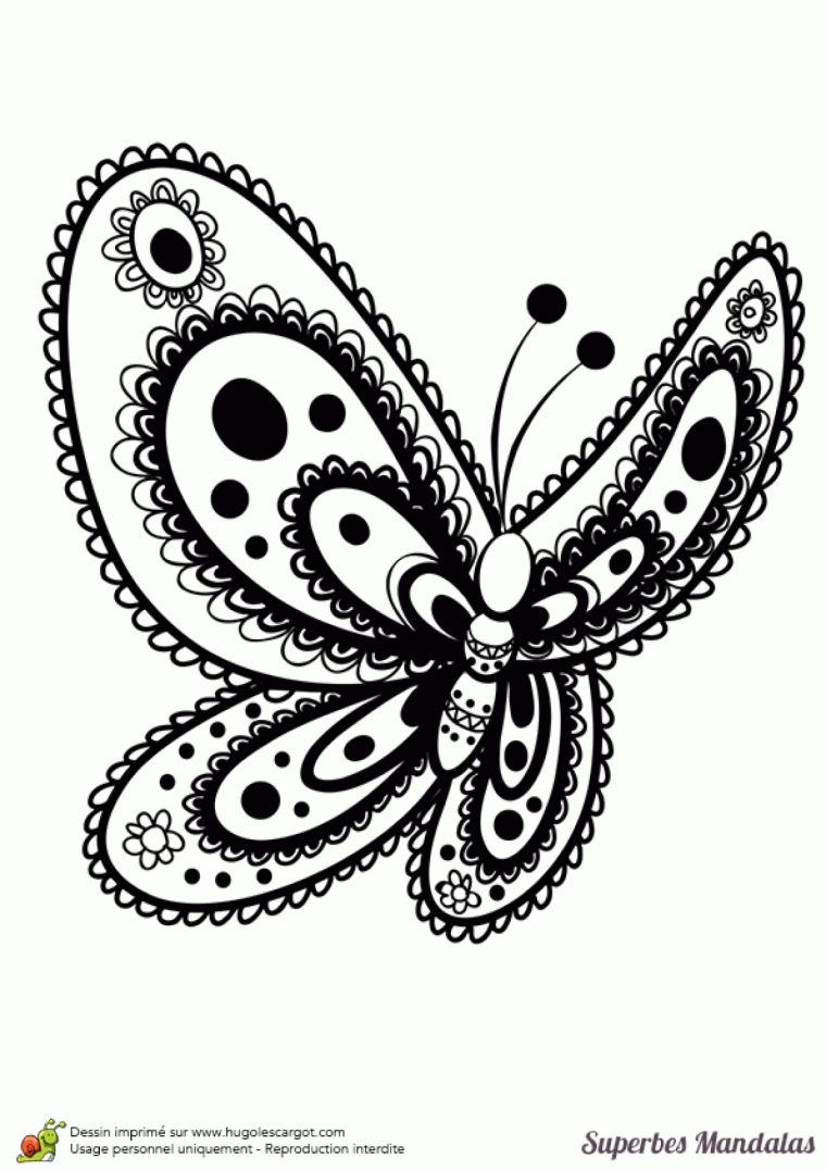 Facile Mandala Papillon Coloriage – Coloriage Tigre Mandala à Papillon En Coloriage