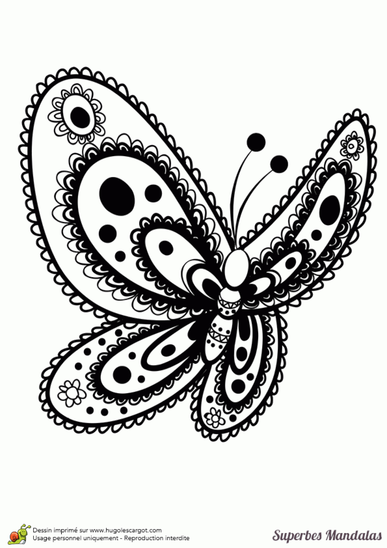 Facile Mandala Papillon Coloriage - Coloriage Tigre Mandala à Papillon En Coloriage 