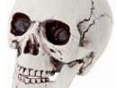 Faux Crâne, Tête De Mort Taille Réelle - Aux Feux De La concernant Image Tete De Mort