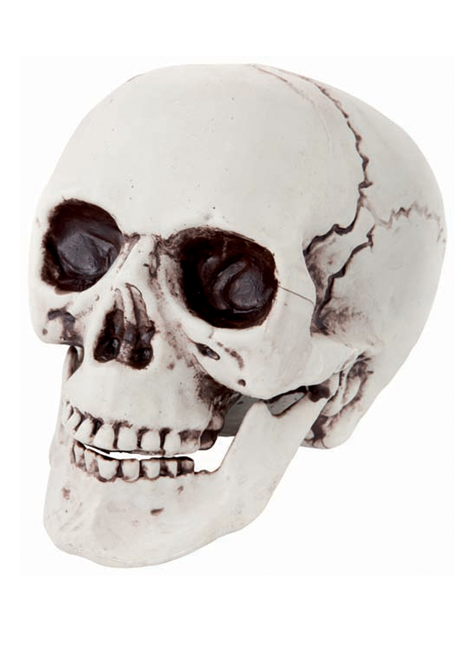 Faux Crâne, Tête De Mort Taille Réelle - Aux Feux De La concernant Image Tete De Mort