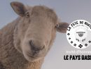 Fête Du Mouton Champéry  Région Dents Du Midi serapportantà Cri Du Mouton