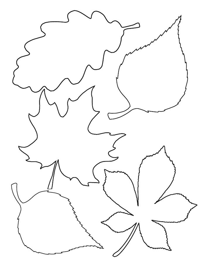 Feuille D Automne Coloriage - Greatestcoloringbook tout Feuilles D Automne Dessin 