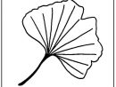 Feuille Ginkgo Coloriage 55  Embroidery Leaf, Upcycle serapportantà Dessiner Des Feuilles