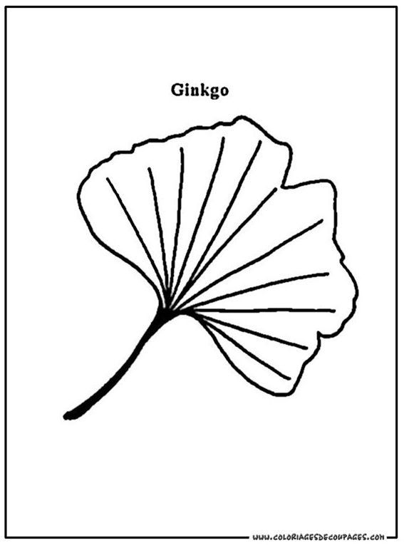 Feuille Ginkgo Coloriage 55  Embroidery Leaf, Upcycle serapportantà Dessiner Des Feuilles 