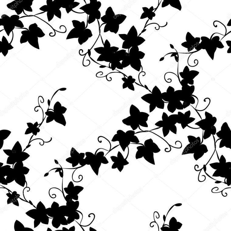 Feuilles De Lierre Doodle Noir Motif Sans Couture Image tout Dessin Lierre