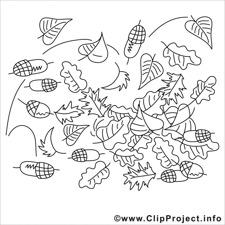 Feuilles Image – Coloriage Automne Illustration – Automne intérieur Coloriage Automne