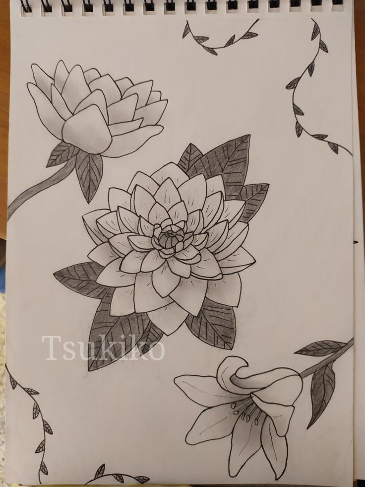 Fleur, Crayon, Dessin En 2020  Dessin, Fleurs, Crayon tout Dessin Fleurs