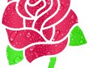 Fleur Rose destiné Rose Dessin