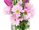 Fleurs D'Anniversaire Photo Stock. Image Du Clear intérieur Fleur Pour Anniversaire Gratuite