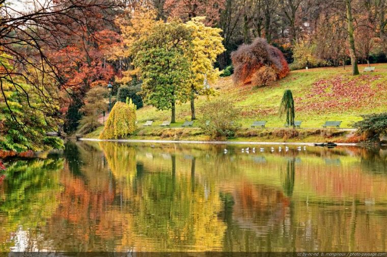 Fond Écran Gratuit Paysage Printemps • Les Plus Belles serapportantà Images Nature Gratuite