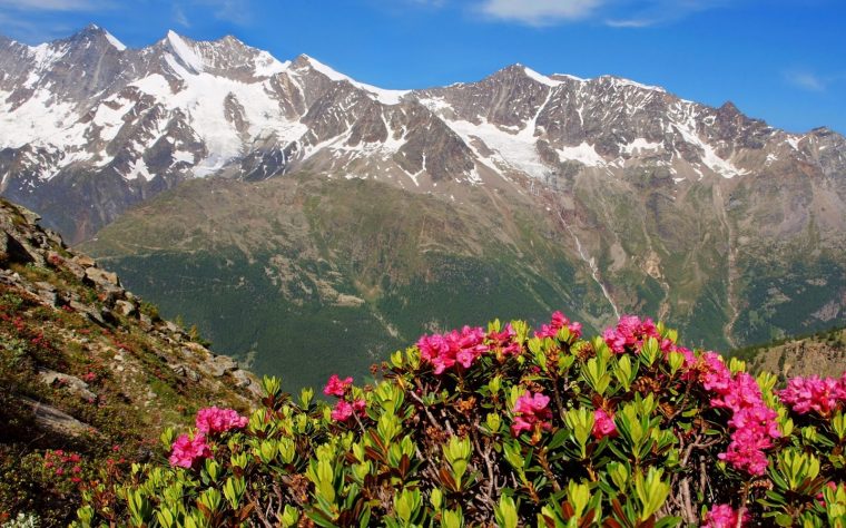 Fond Ecran Printemps Montagne – Fonds D'Écran Hd dedans La Nature En Printemps