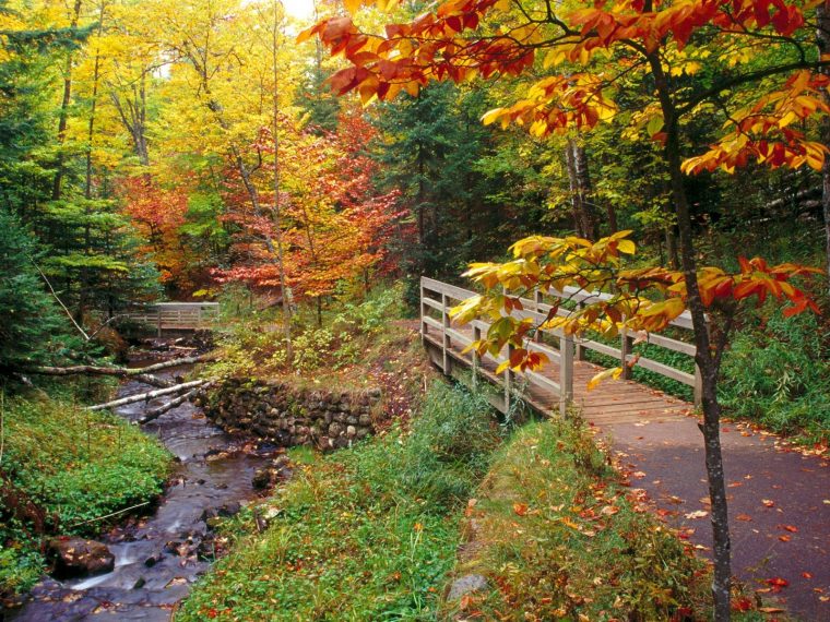 Fonds D'Ecran Saison Automne Nature Télécharger Photo dedans Nature D Automne