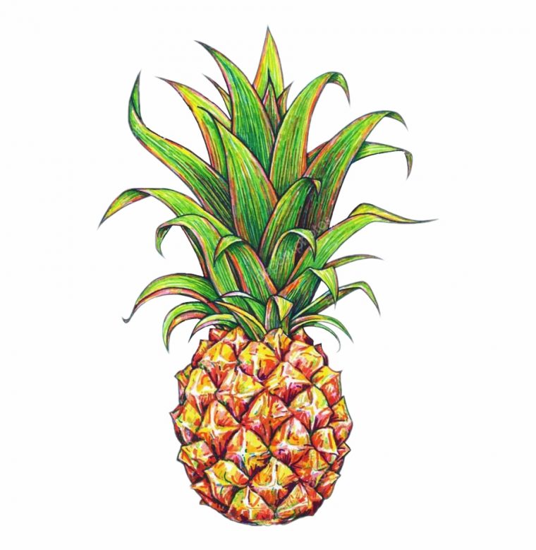 Free Pineapple Clipart Transparent Background, Download tout Dessin Ananas