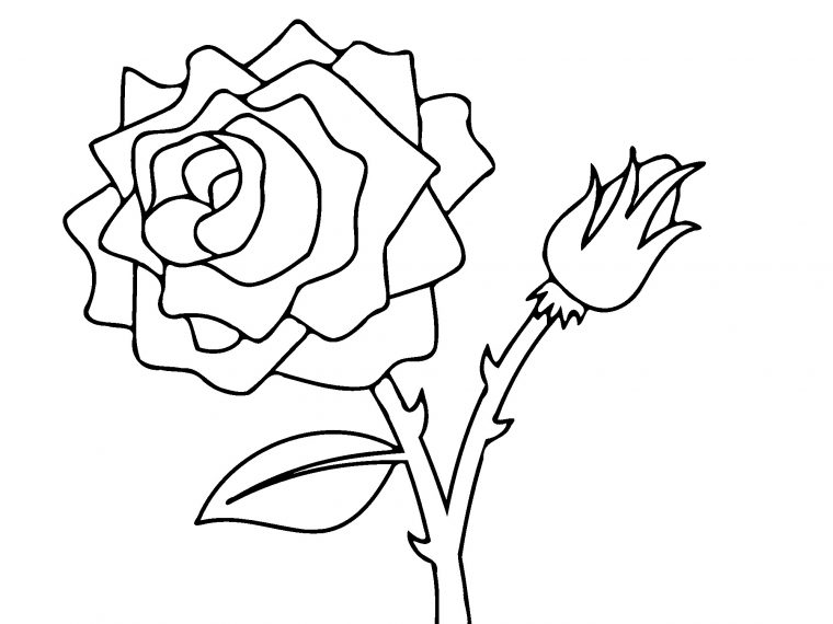 Free Printable Roses Coloring Pages For Kids dedans Coloriage Rose