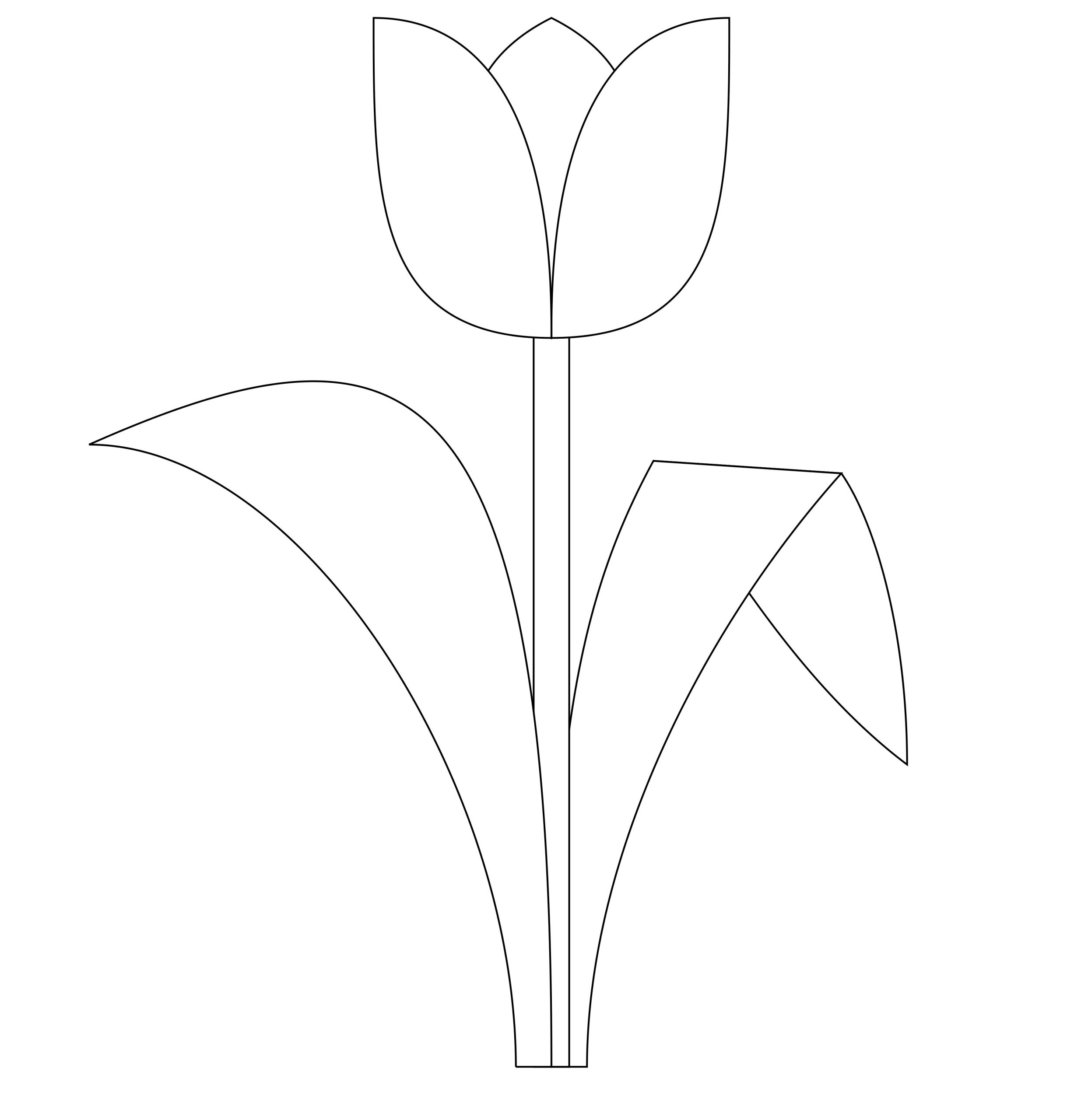 Free Printable Tulip Coloring Pages For Kids destiné Dessin Tulipe