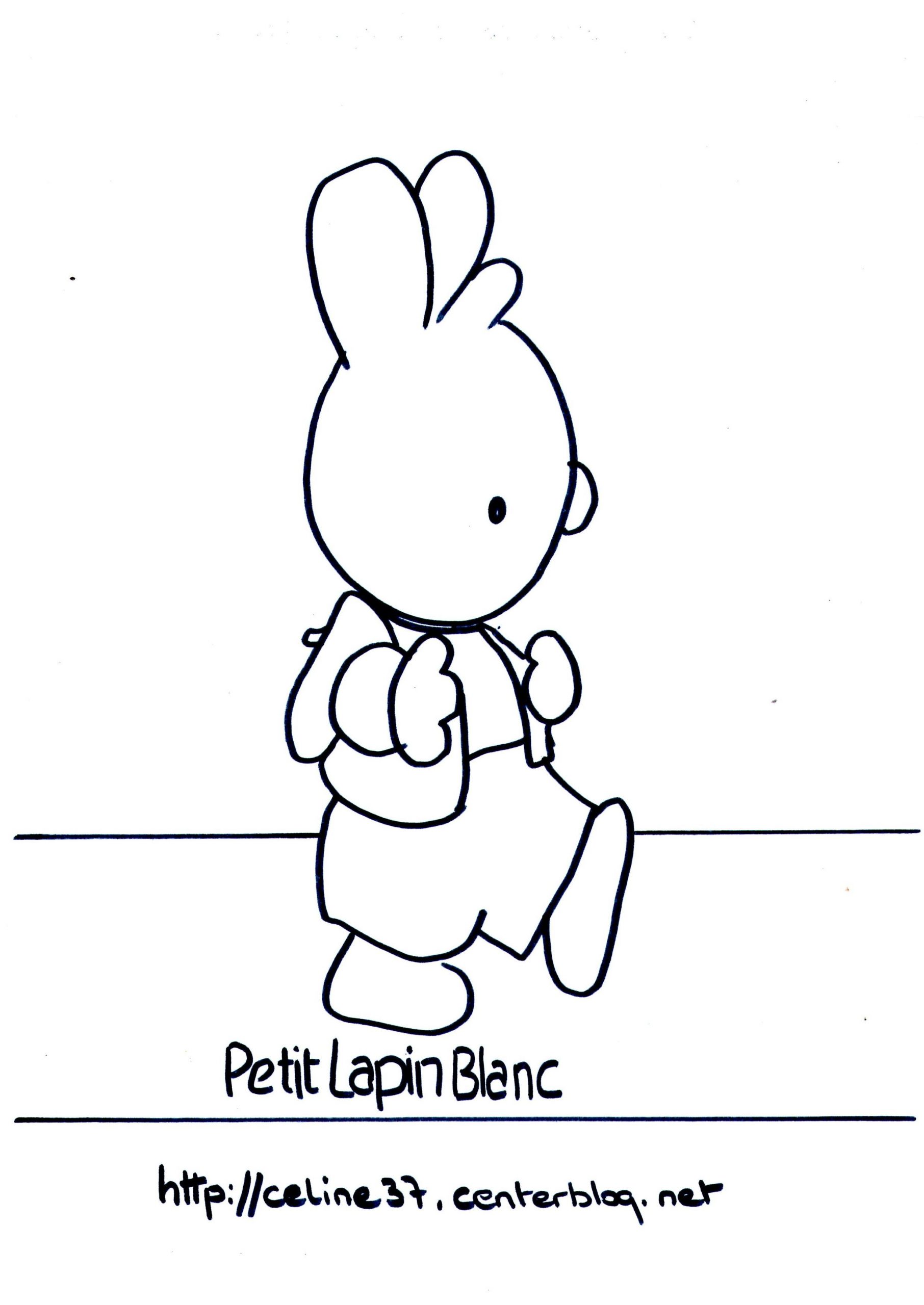 Gabarit Petit Lapin Blanc serapportantà Dessin De Petit Lapin 