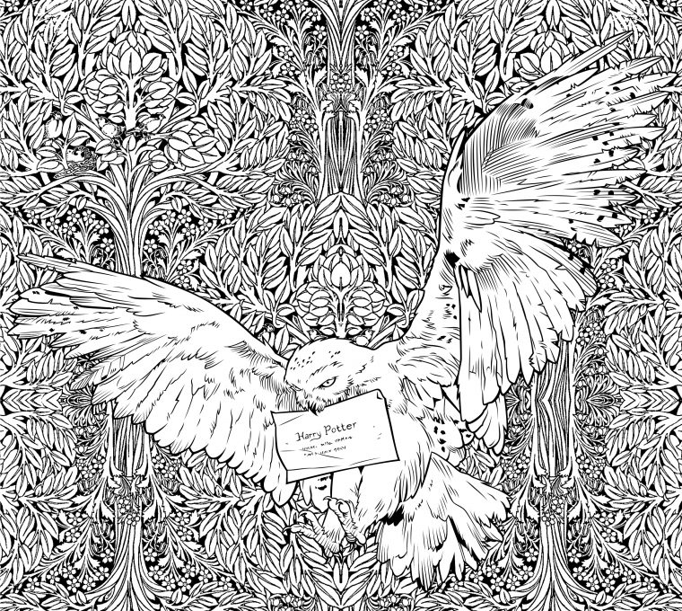 Get A Sneak Peek Of The New Harry Potter Coloring Book destiné Coloriage Harry Potter