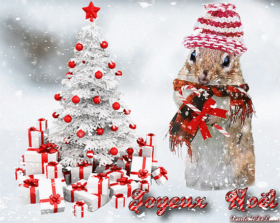 Gif-Animé-Hiver-Winter-Noël-Sapin-Illuminé-Neige - Les à Image Gratuite De Noel 