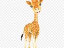Girafe, Bébé Girafes, Dessin Animé Png - Girafe, Bébé encequiconcerne Dessins Girafe