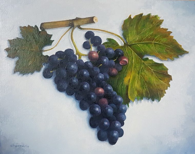 Grappe De Raisin Peinture Par Jean-Pierre Chaumeille pour Dessin Grappe De Raisin Et Feuille De Vigne