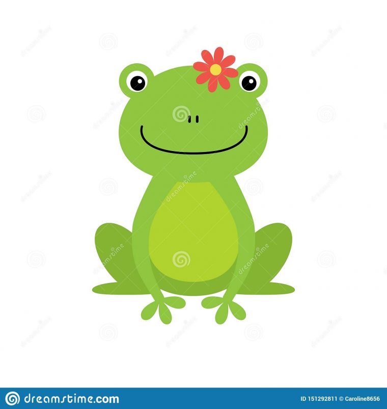 Grenouille Verte De Dessin Anim Stock Illustrations pour Grenouille Dessin