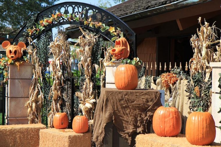 Halloween 2016 En Floride – Blog Auxandra avec Décor D Halloween