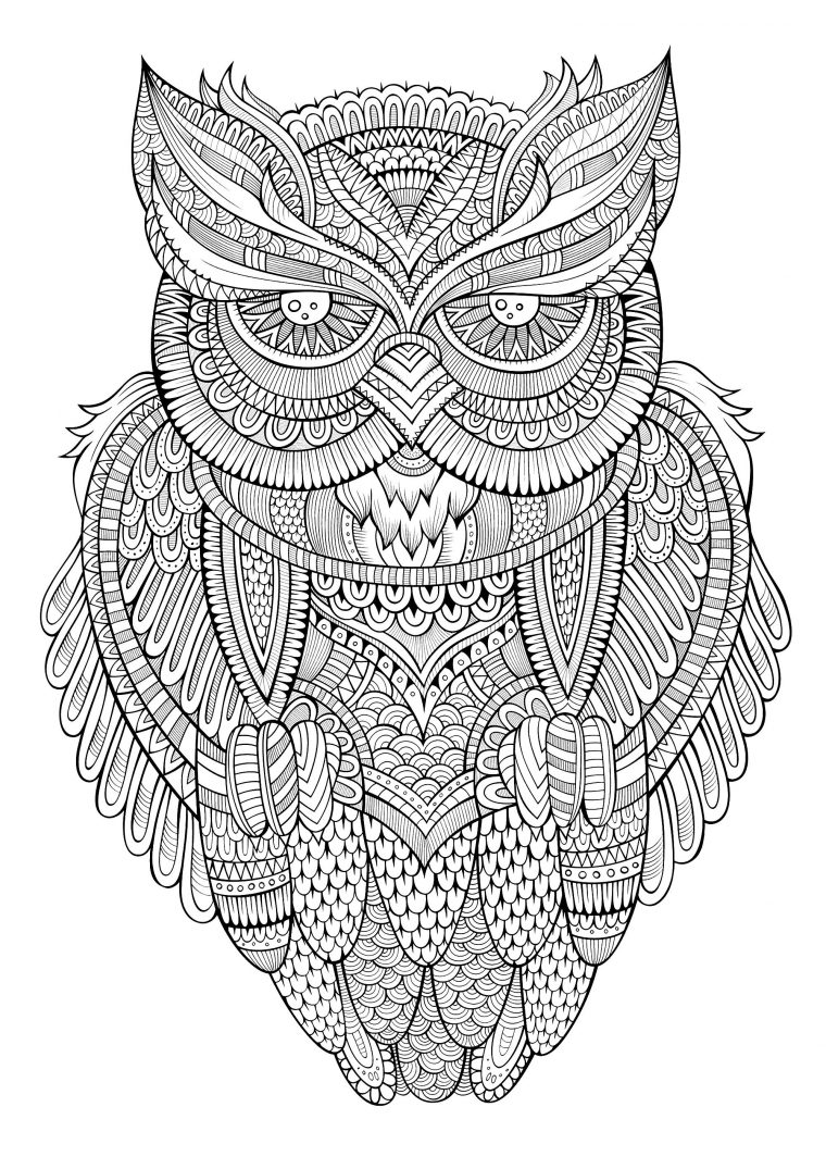 Hibou Paisible – Hiboux – Coloriages Difficiles Pour Adultes à Mandala Hibou