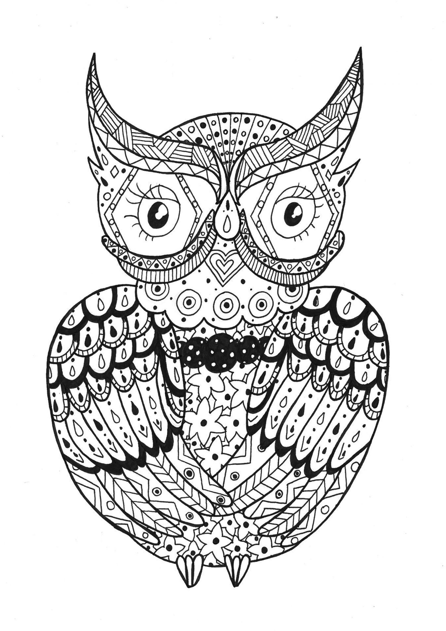 Hibou Zentangle Rachel - Zentangle - Coloriages Difficiles serapportantà Dessin A Colorier Pour Adulte 