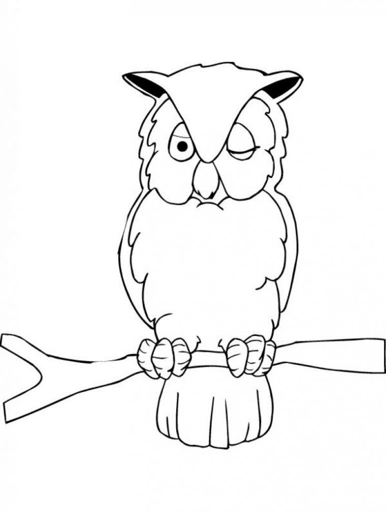 Hiboux Colorier – Hiboux Gifs Animes 8873039 intérieur Hibou Dessin Colorier