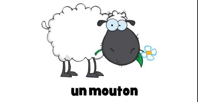 Học Tiếng Pháp # 1 Dessin # Un Mouton – pour Le Mouton Dessin