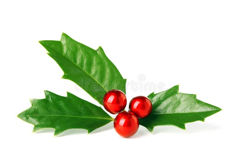 Houx Vert Clair De Noël Avec Les Baies Rouges Photo Stock à Houx De Noel 