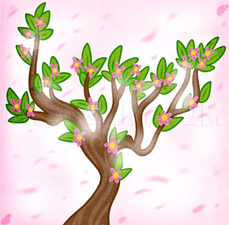 How To Draw A Spring Tree By Dawn  Dragoart tout Arbres Dessins