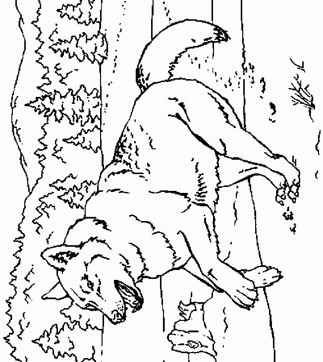 Http:scoloriagesanimauxcoloriages,Loups.html pour Mes Coloriages Com