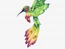 Hummingbird Drawings Google Search - Colibri Dibujo A avec Dessin Colibri