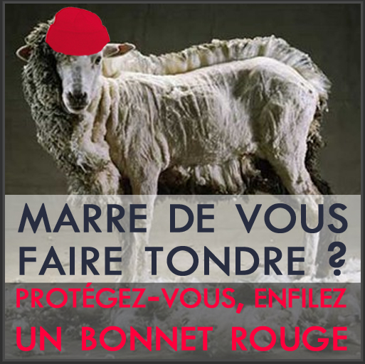 Humour Breton - Breizh - Promo Bretagne - Page 126 serapportantà Cri Du Mouton