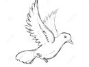 Icône De Colombe Conception D'Oiseau Et De Paix Dessin De avec Dessin Oiseau Simple