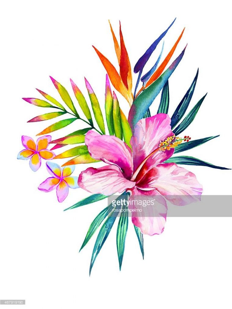 Illustration : Bouquet De Fleurs Tropicales  Tropical pour Dessin De Fleurs