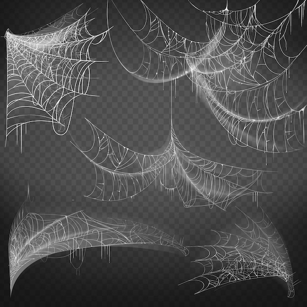 Illustration De Toile D'Araignée De Différentes Formes concernant Dessin D Une Araignée