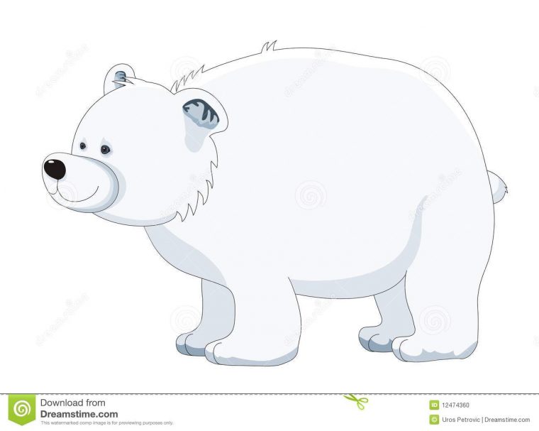 Illustration De Vecteur De Dessin Animé D'Ours Blanc pour Dessin D Ours Polaire