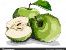 Illustration De Vecteur De Dessin Pommes Fruit Vert pour Dessin Fruits