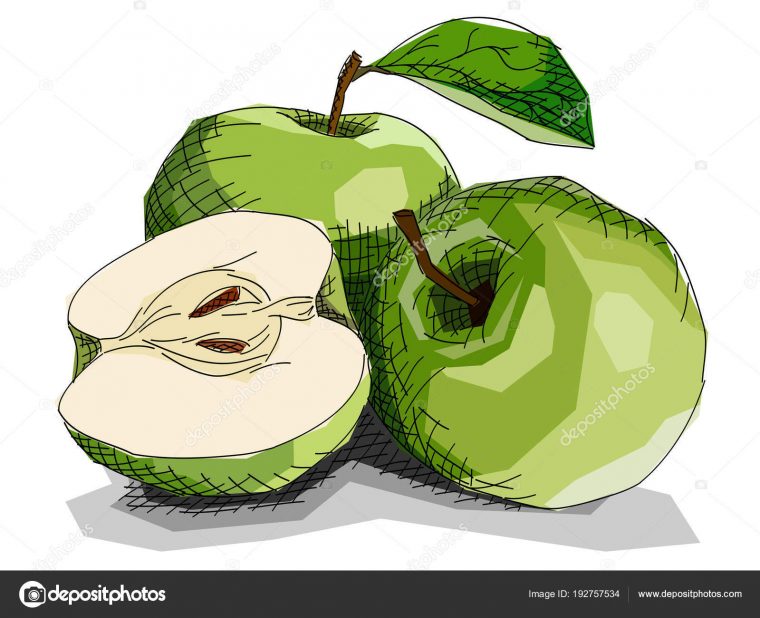 Illustration De Vecteur De Dessin Pommes Fruit Vert pour Dessin Fruits