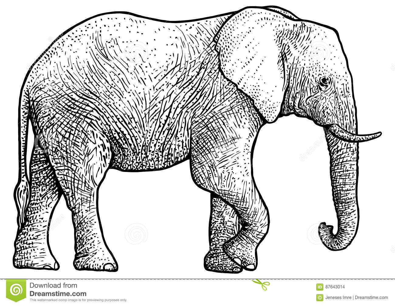 Illustration D'Éléphant, Dessin, Gravure, Encre, Schéma encequiconcerne Dessin D Elephant
