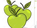 Illustration Verte De Pommes Illustration Stock tout Pommes Dessin