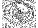 Image De Papillons À Télécharger Et Colorier - Coloriage dedans Coloriage Fleur Et Papillon A Imprimer