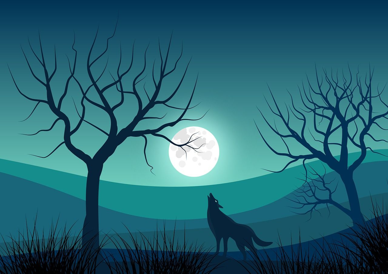 Image Gratuite Sur Pixabay - Paysage, Nature, Lune serapportantà Dessin Sur La Nature